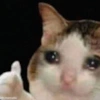 SaltyVeteran user avatar